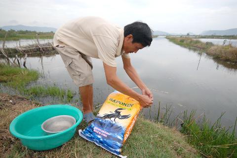 chuan bị ao tha tom