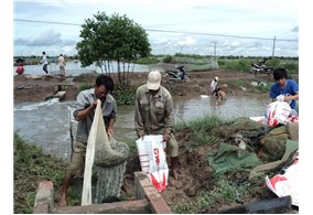 chuẩn bị ao nuôi tôm