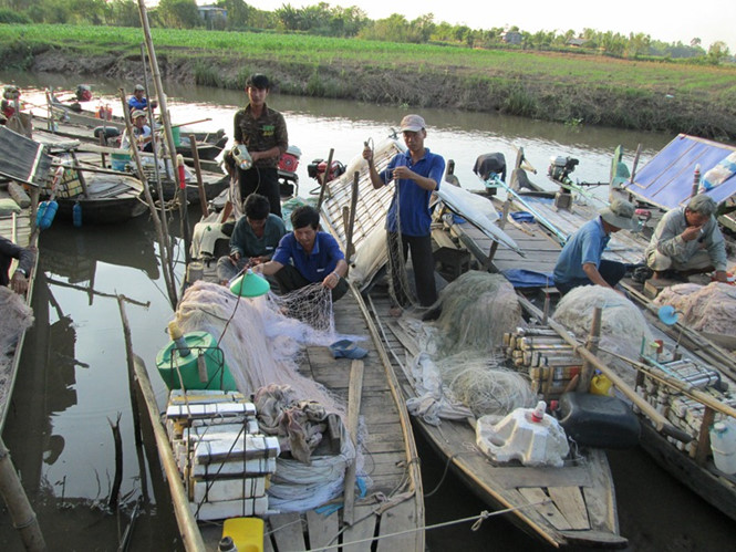 chuẩn bị giàn lưới