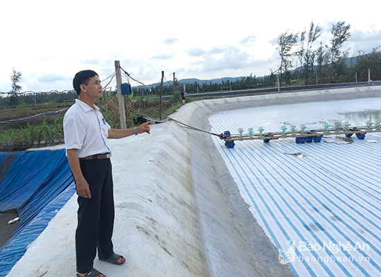 Nông dân Nghệ An chuẩn bị nuôi tôm vụ đông