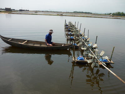 chuan bi ao nuoi tom