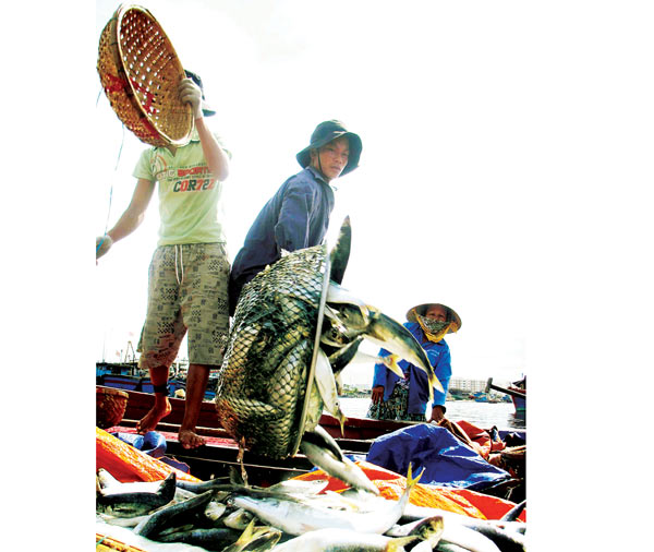 chuyến biển cuối năm