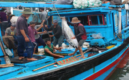 chuyển cá lên bờ