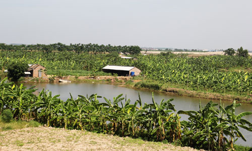 chuyển đổi nuôi thủy sản