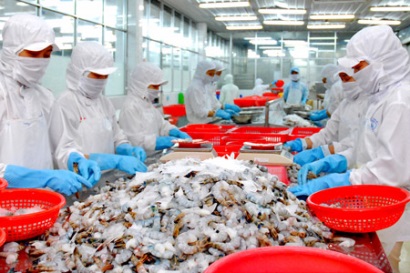 cơ sở chế biến tôm