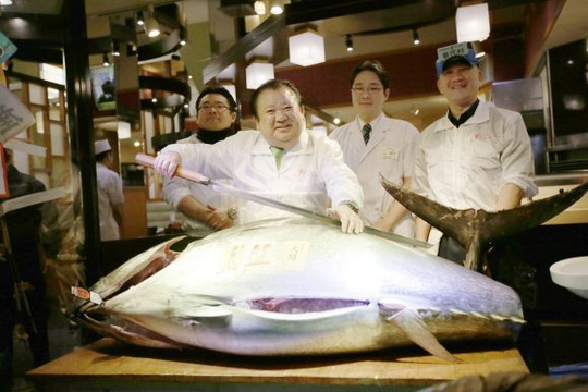 con cá ngừ 200kg