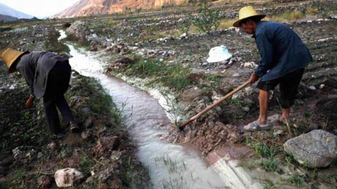 con suoi bi nhiem doc