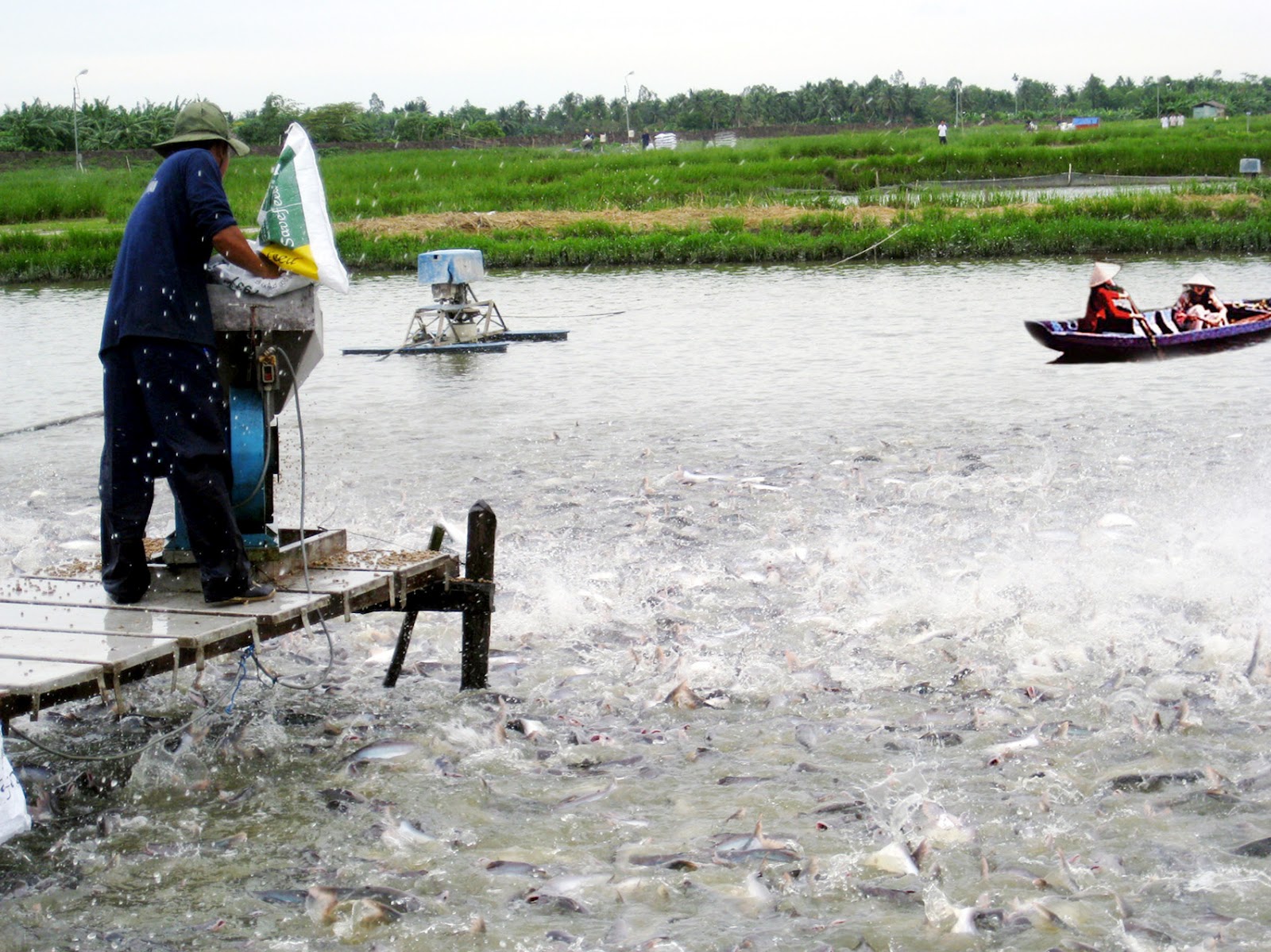 Kon Tum Ngọc Hồi nuôi trồng thủy sản theo hướng bền vững