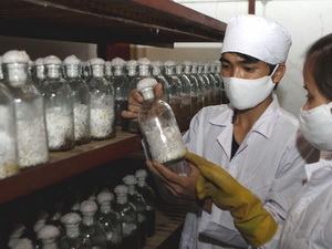 công nghệ sinh học