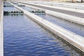 công nghệ thủy sản