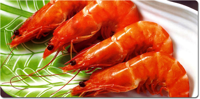 Ảnh minh họa (Nguồn: Internet)