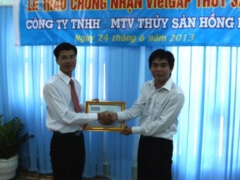 công ty thủy sản Hồng Mỹ