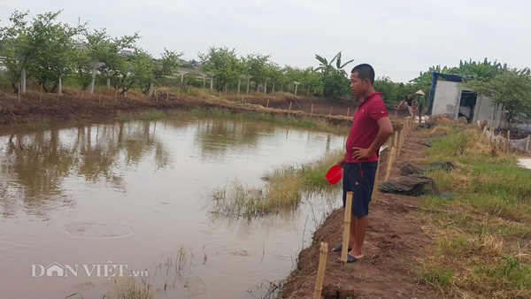 Cữ nhân về quê nuôi cá kiếm 1 tỷ/năm