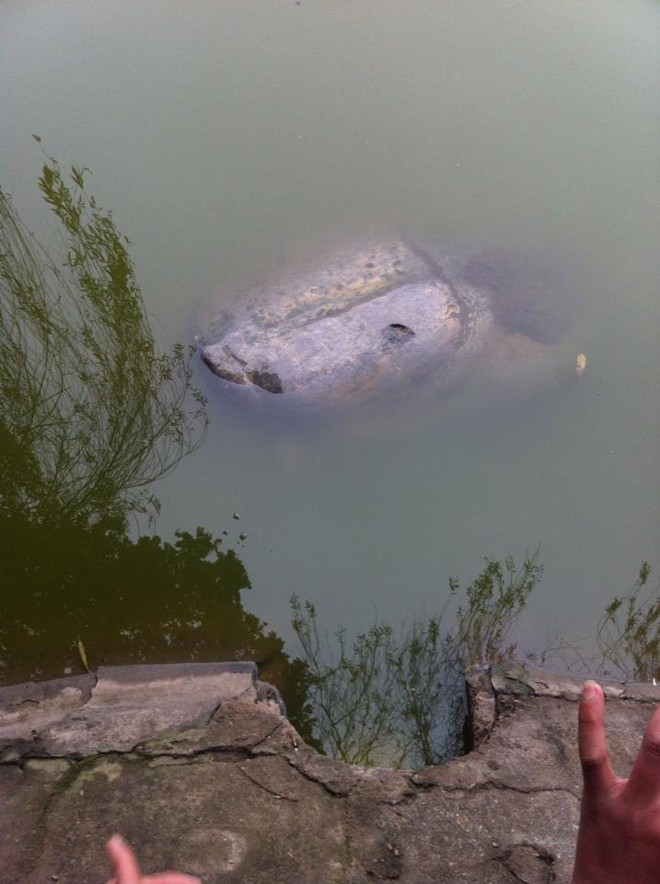 Một số người hiếu kỳ sờ vào xác cụ.