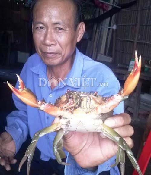 cua biển