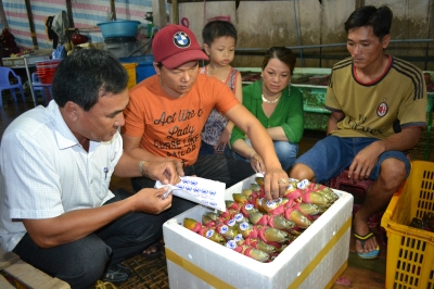 cua biển