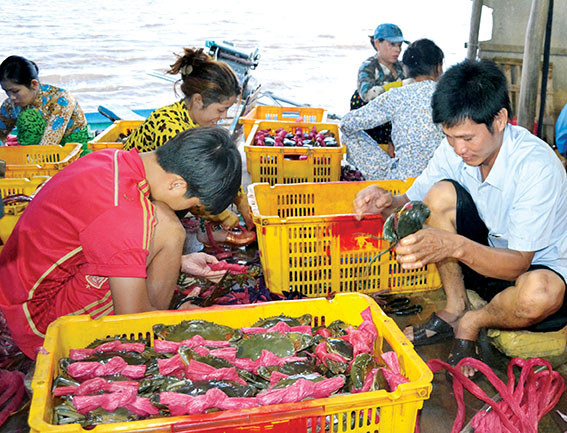 cua biển