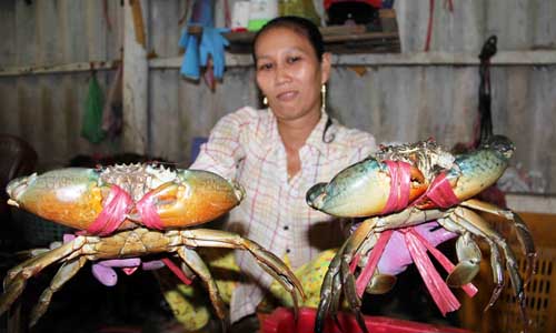 cua biển Cà Mau