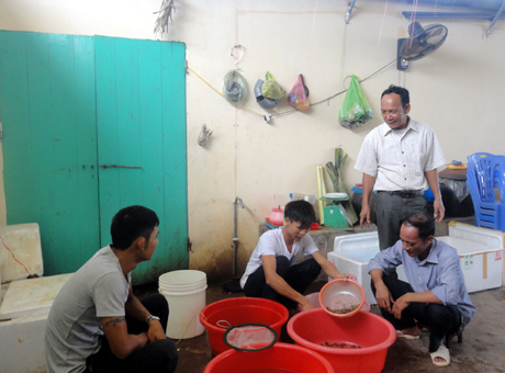 cua biển Quảng Ninh
