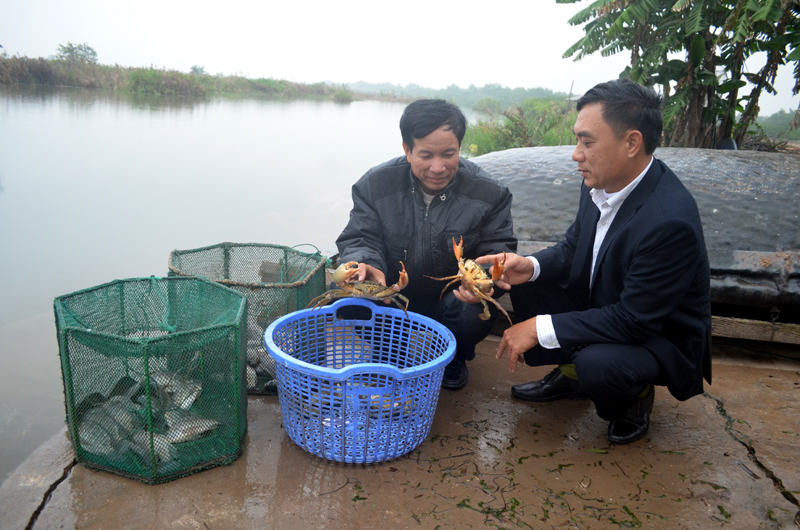 Cua biển Quảng Yên
