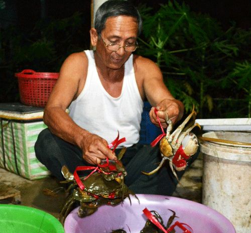 Thương lái Trung Quốc- Hàn Quốc tranh nhau mua cua Năm Căn
