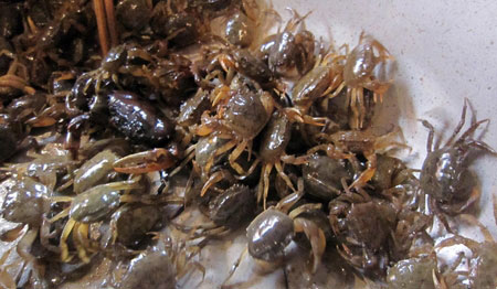 cua đồng, chế biến cua đồng, cua