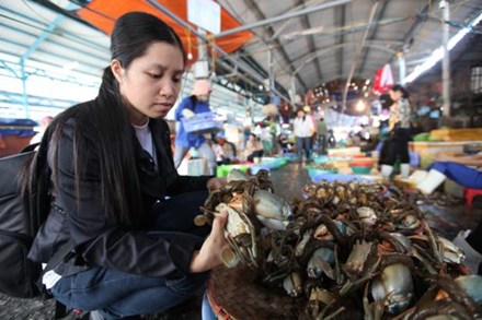 Lấy đâu ra cua gạch bãi (cua tự nhiên) mà lắm thế
