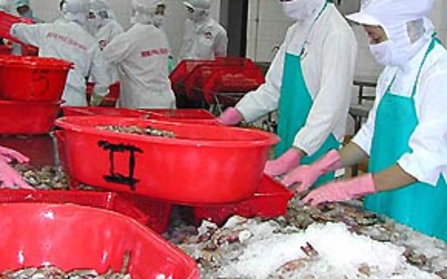 xuat khau thuy san sang my