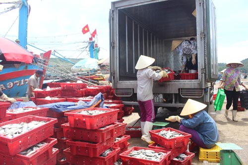 Xây dựng các cụm chế biến hải sản tập trung tại Nghệ An