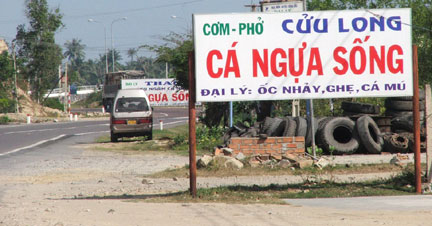 cung đường cá ngựa