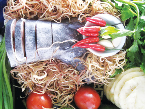 cá ngừ đại dương