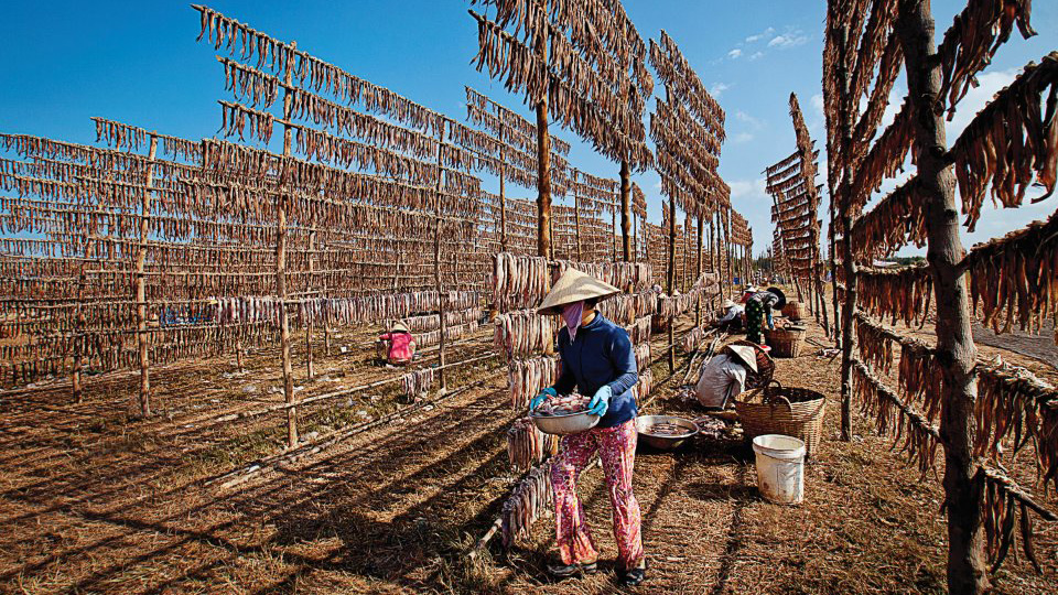 Tự hào đặc sản Cà Mau