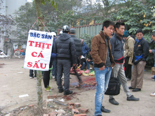 xẻ thịt cá sấu