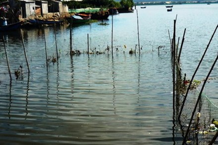 Một số hộ dân lấn chiếm đầm Thị Nại sẽ bị xử lý.