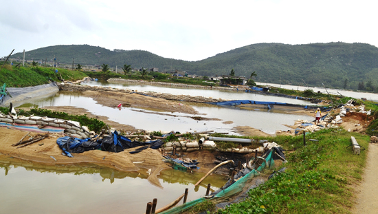 đầm tôm tan hoang