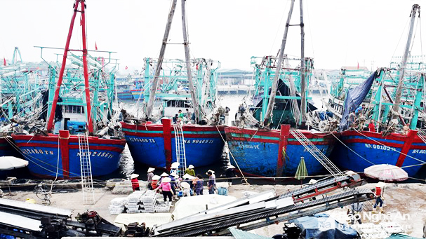 95% tàu thuyền ở Nghệ An được đăng kiểm