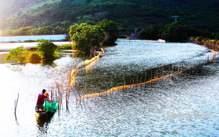 đánh bắt bằng đăng đáy