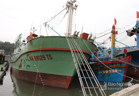 Ngư dân Nghệ An được hỗ trợ gần 8,3 tỷ đồng đánh bắt vùng Hoàng Sa