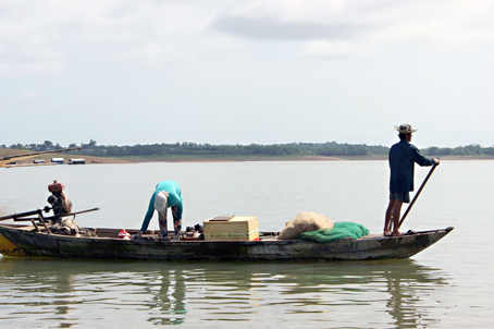 đánh bắt cá