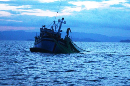 đánh bắt giã cào