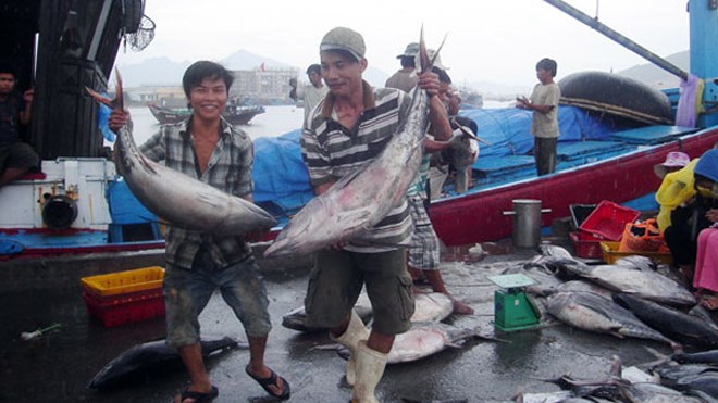 đánh bắt hải sản