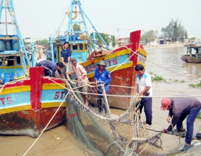 đánh bắt ngư trường