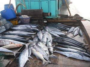 Đánh bắt thủy sản