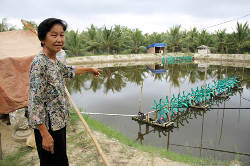 đánh cược với con tôm