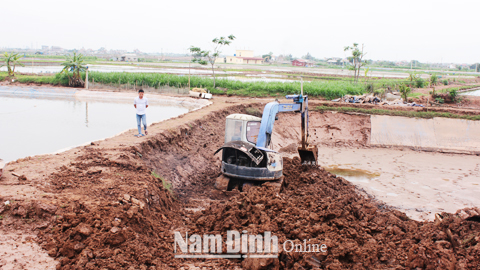 Hiệu quả mô hình nuôi xen canh thủy sản nước ngọt với mặn lợ