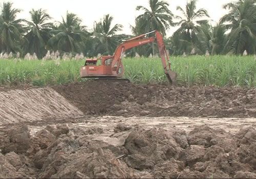 Đào ao nuôi tôm trêm đất trồng mía