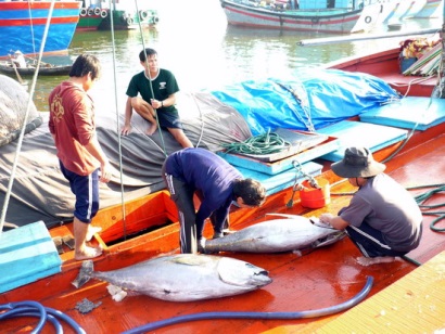 đào tạo nghề biển