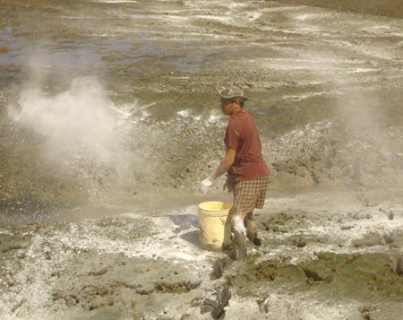 dap dich bệnh tôm