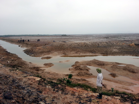 Đất rừng ngập mặn bỏ hoang