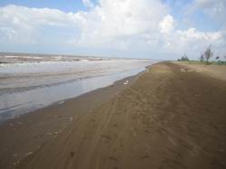 đất, đất bãi bồi, đất ven sông